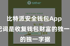 比特派安全钱包App  助记词是收复钱包财富的独一字据
