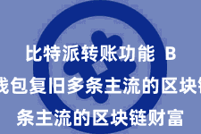 比特派转账功能  Bitpie钱包复旧多条主流的区块链财富