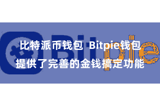 比特派币钱包  Bitpie钱包提供了完善的金钱搞定功能
