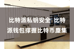 比特派私钥安全  比特派钱包撑握比特币麇集