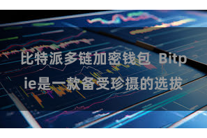 比特派多链加密钱包  Bitpie是一款备受珍摄的选拔
