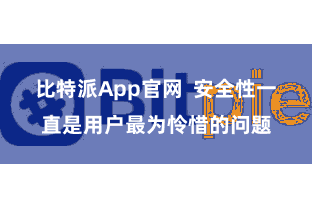 比特派App官网  安全性一直是用户最为怜惜的问题