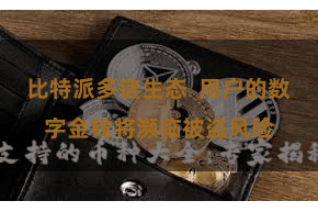 比特派多链生态  用户的数字金钱将濒临被盗风险