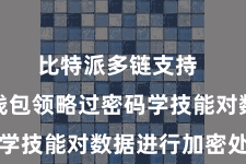 比特派多链支持  比特派钱包领略过密码学技能对数据进行加密处理